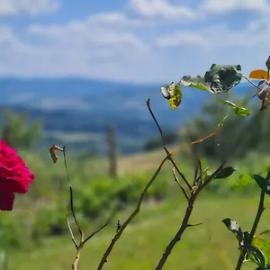 Apartamento Il Nido, Volterra